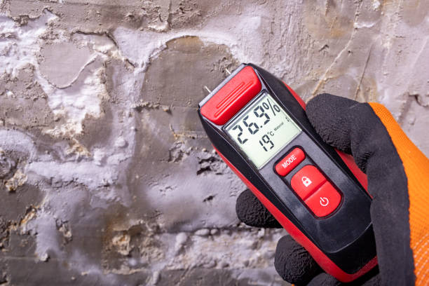 Best Emergency Mold Remediation in Caldwell, ID