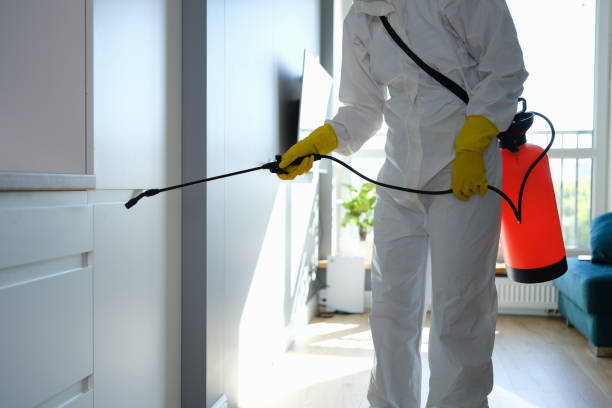 Best Kitchen Mold Remediation in Caldwell, ID
